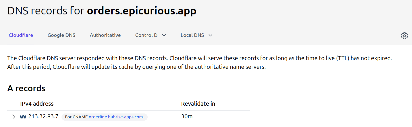 Example of a successful DNS lookup