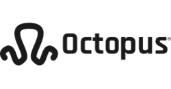 Octopus IT logo
